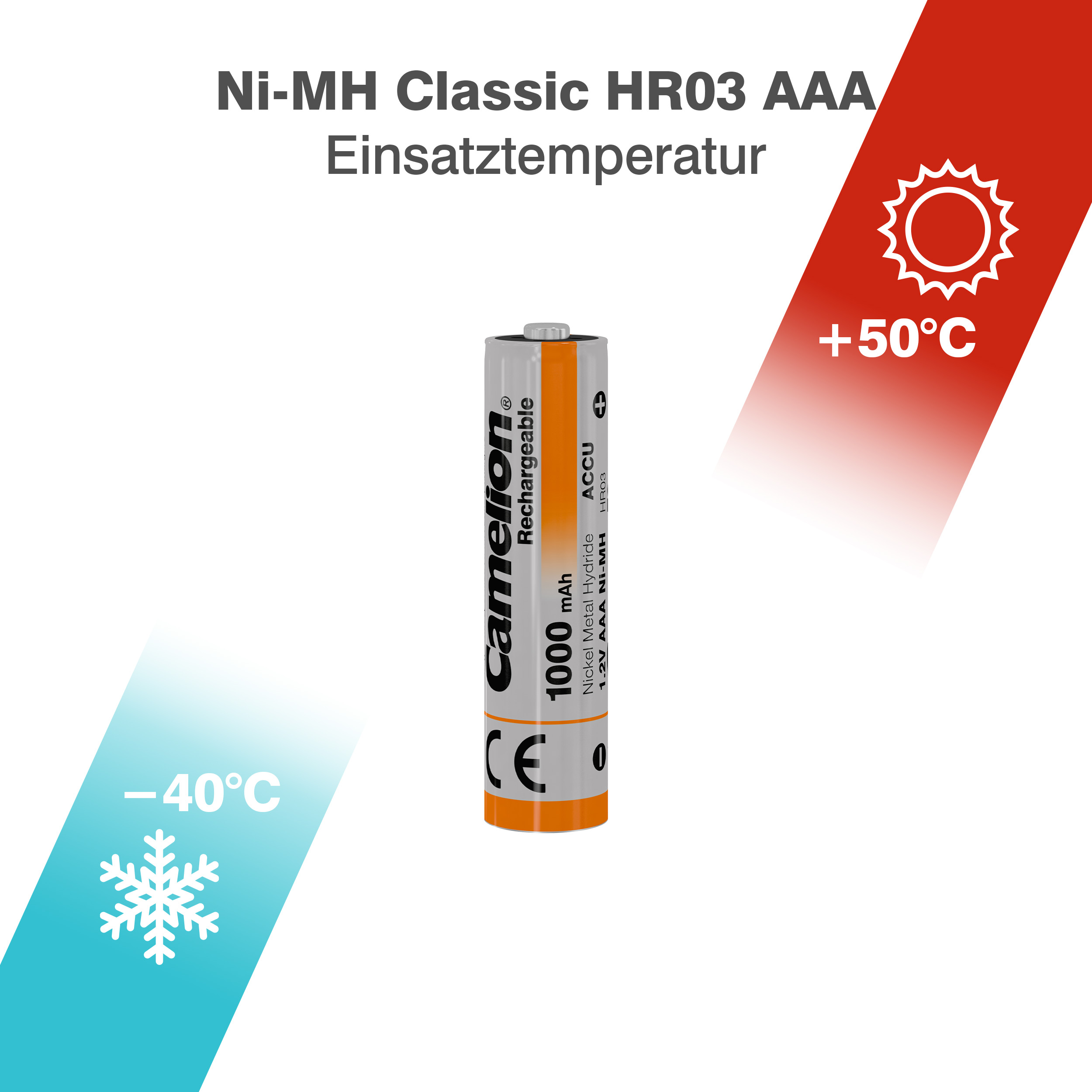 4-1000mah.jpg